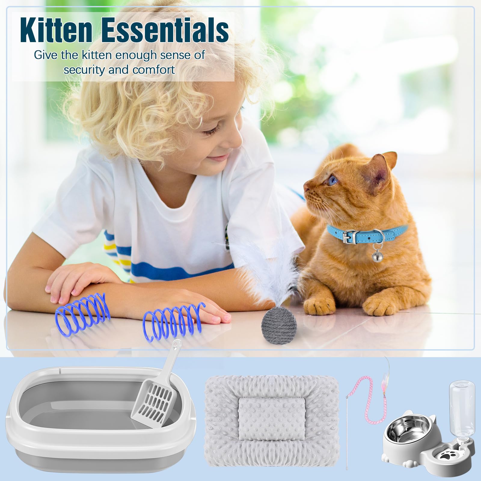 Eccliy kitten starter kit cat collar leather adds safe identification during supervised adventures