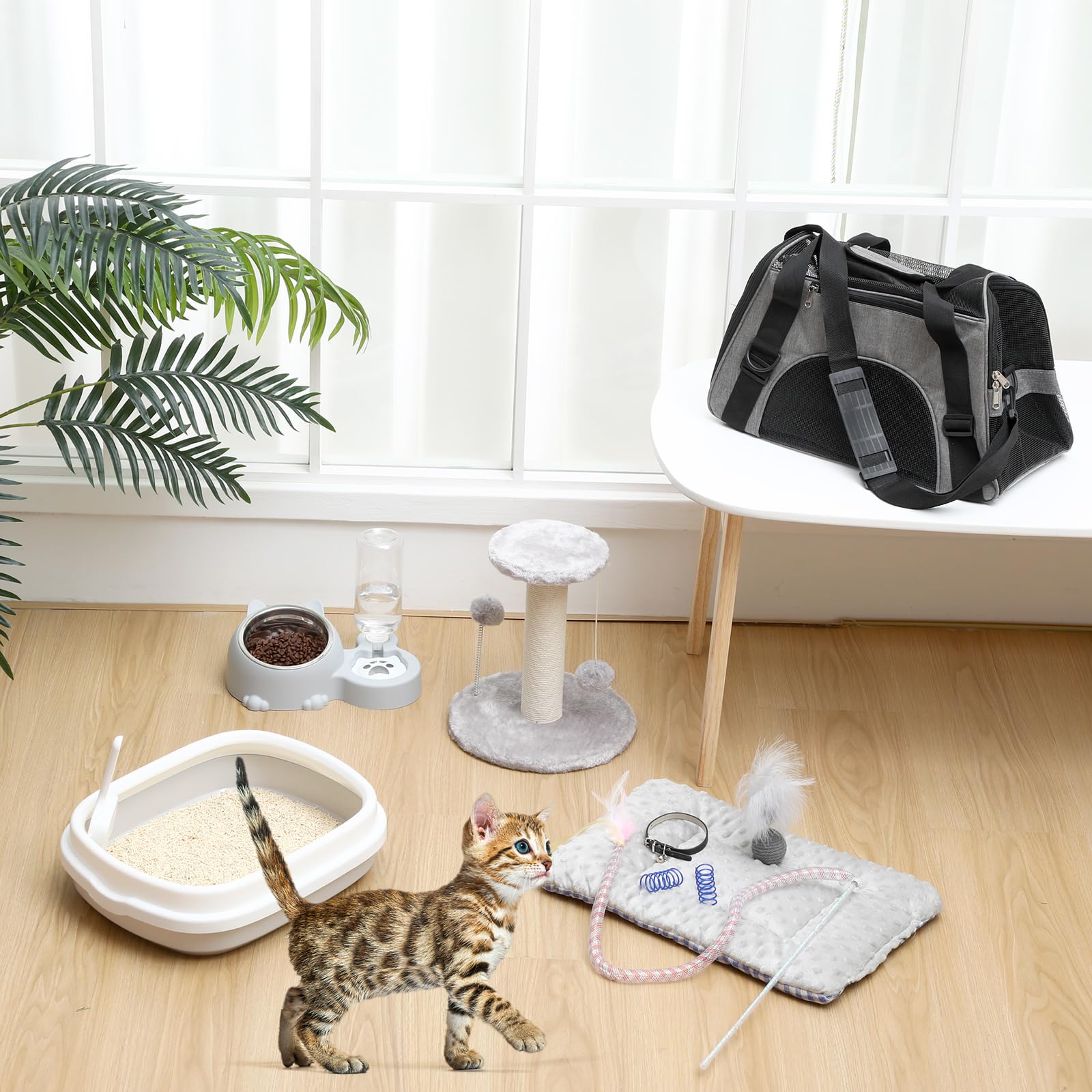 Eccliy kitten starter kit cat mat beanie provides soft comfort for naps