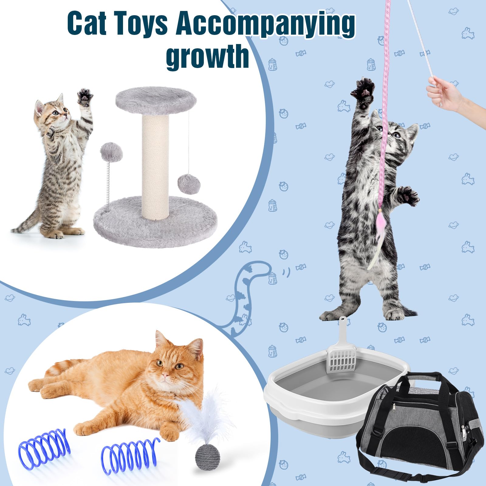 Eccliy kitten starter kit teaser and toy ball promotes interactive play