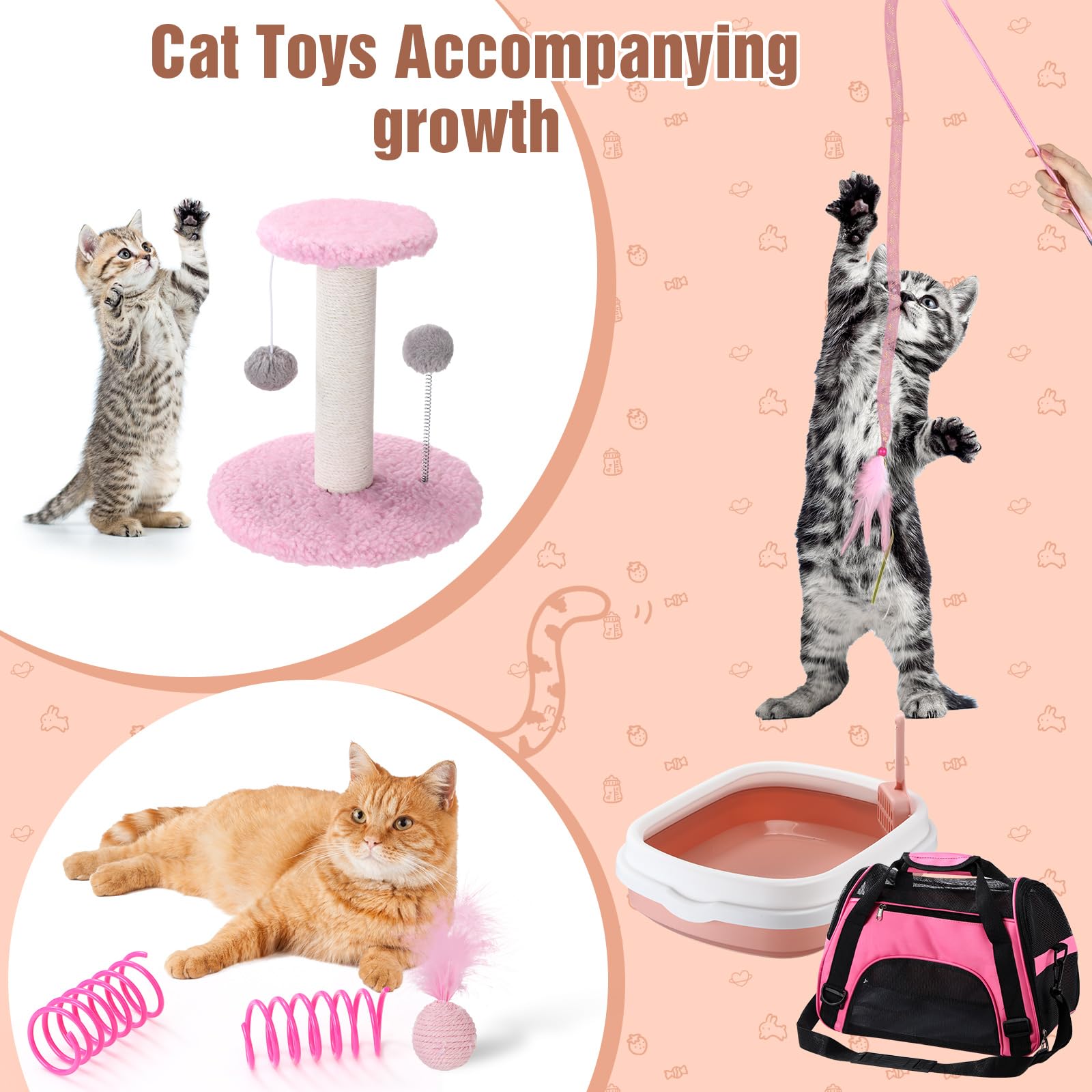 Eccliy kitten starter kit cat teaser sparks active play and exercise.