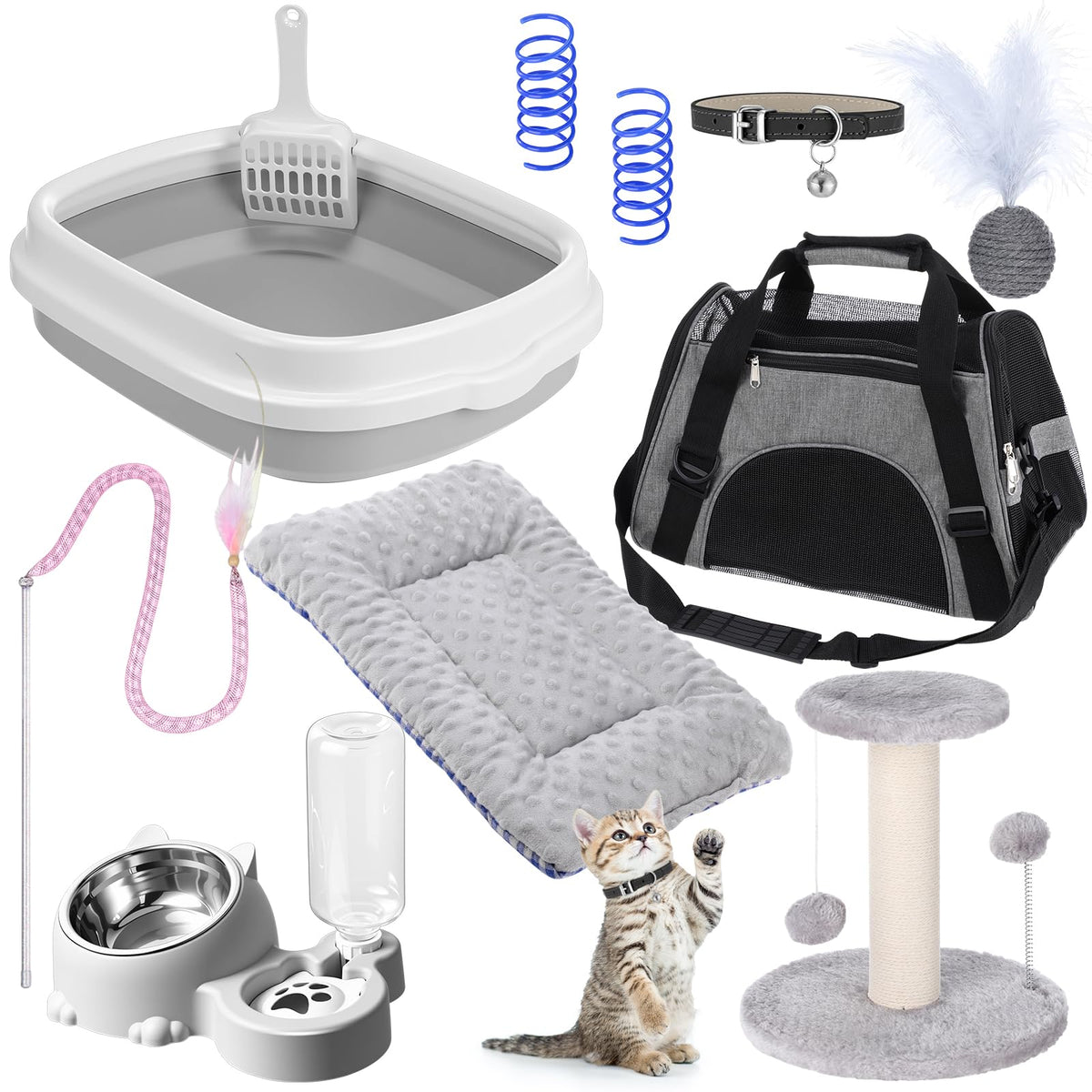 Eccliy kitten starter kit pet carrier bag ready for travel with your new companion