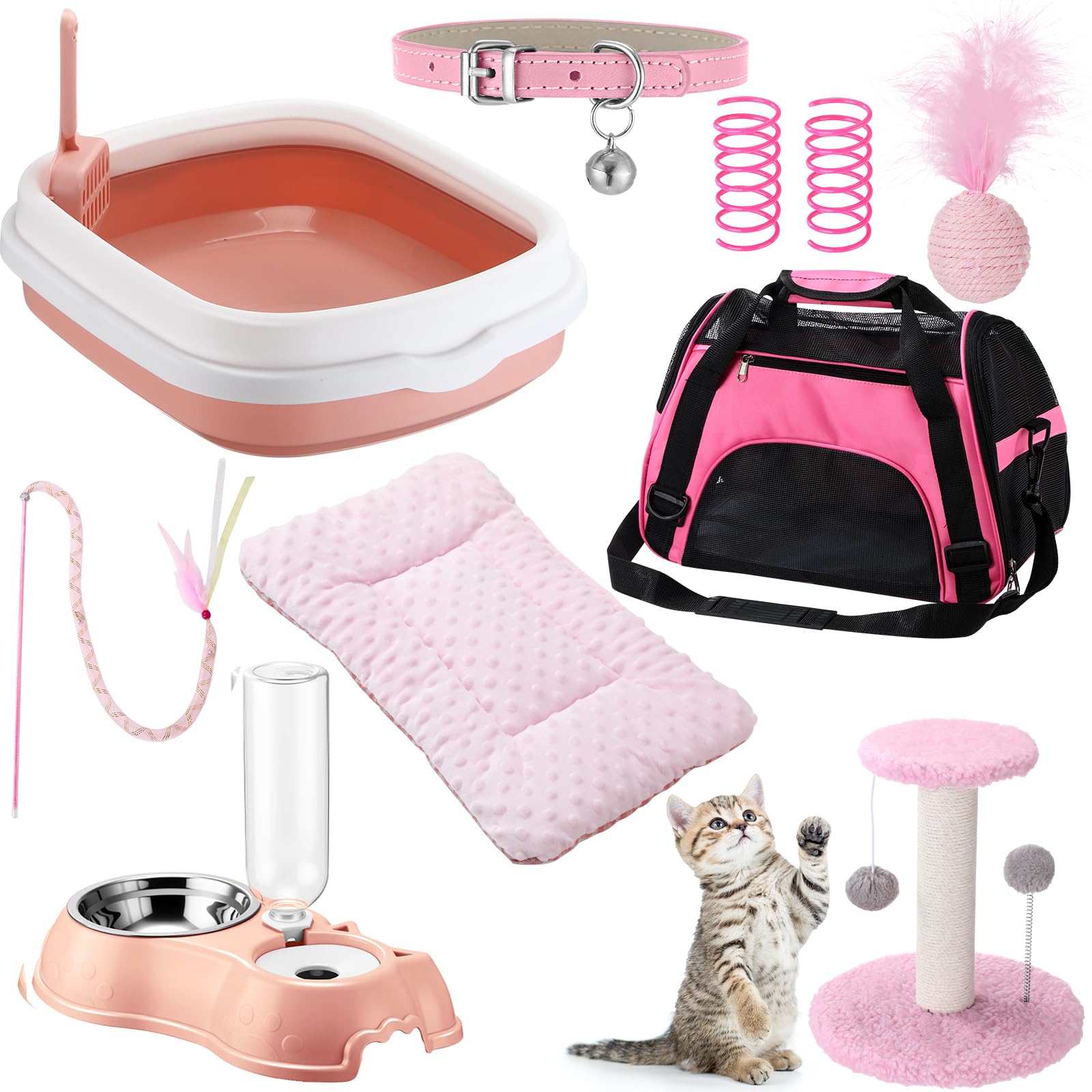 Eccliy kitten starter kit pink carrier bag for easy, stylish transport.