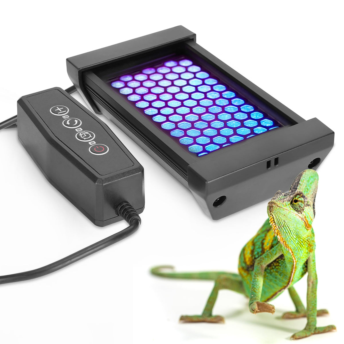 Eckpo Dimmable LED Reptile UVB Lamp front view; space-saving 4W design for small terrariums.