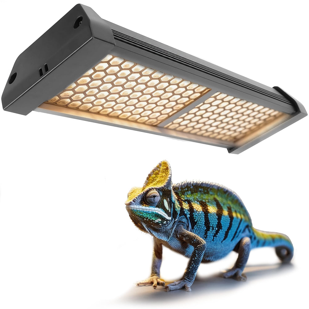Eckpo Dimmable LED Reptile UVB Lamp front view: supports healthy activity in terrariums.