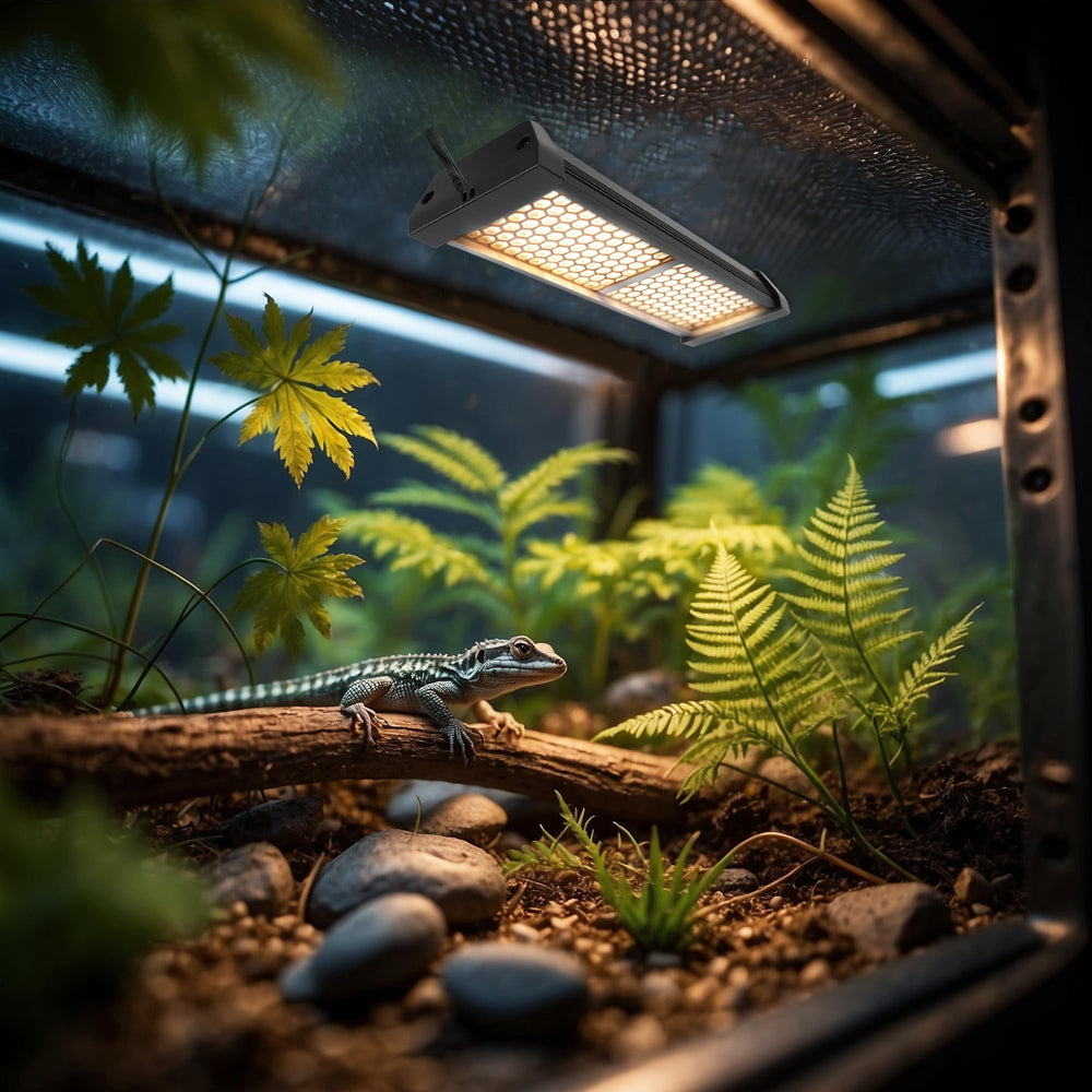 Eckpo lamp in terrarium, compatible with geckos, chameleons, bearded dragons, and more.
