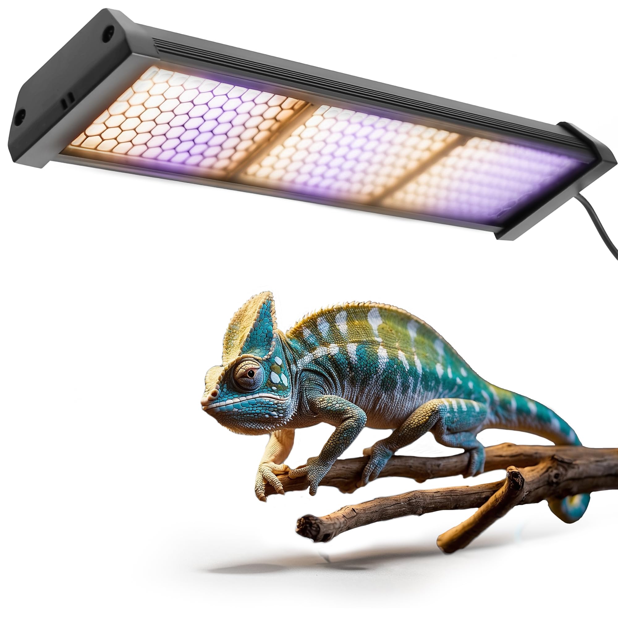 Eckpo dimmable LED reptile UVB lamp over basking area for controlled exposure