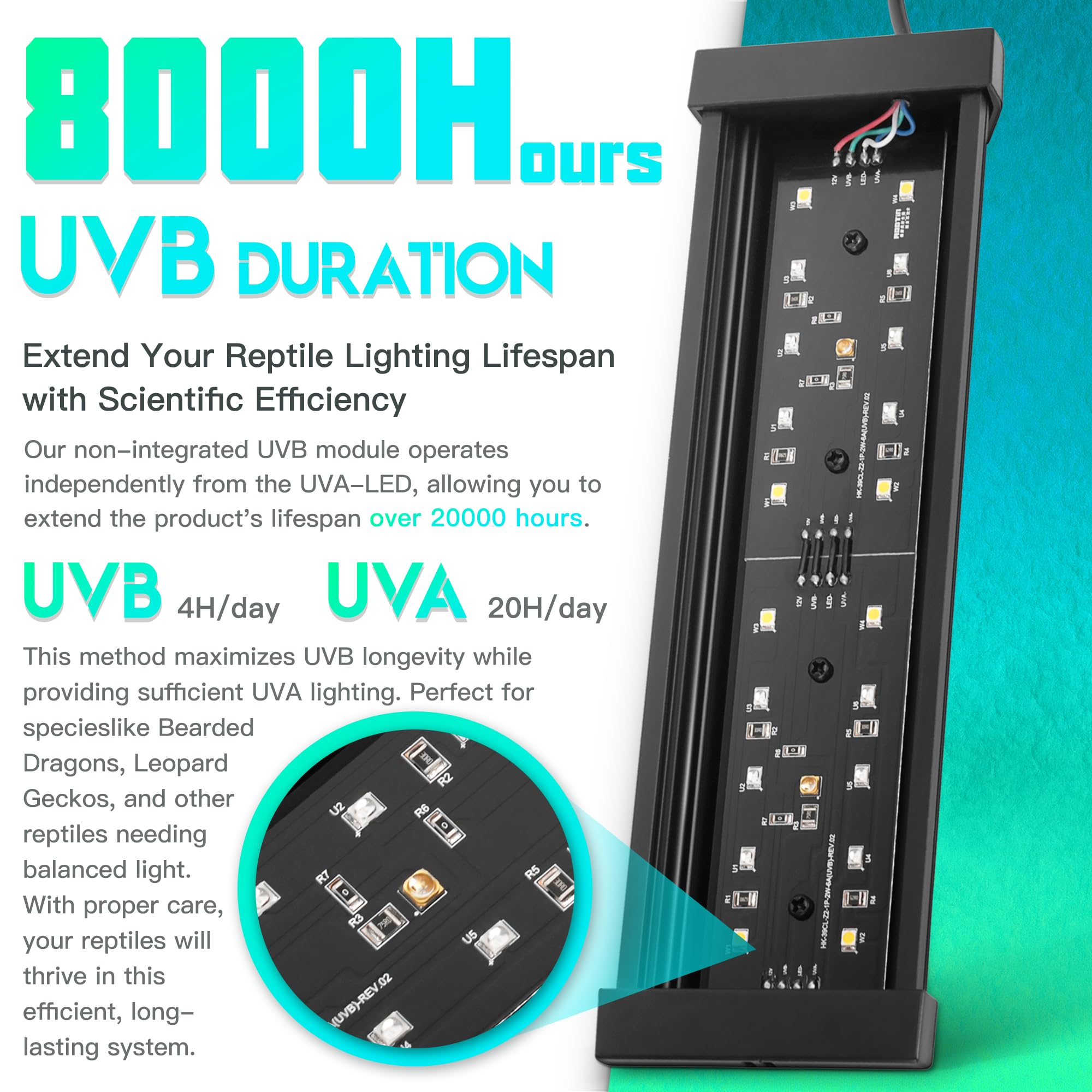 Eckpo four intensity levels for precise basking control
