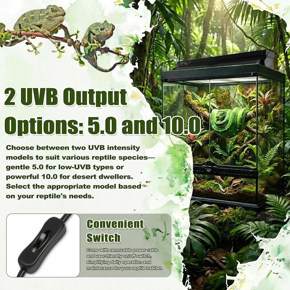 Eckpo polished aluminum reflector boosts UVB and light delivery.