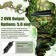 Eckpo polished aluminum reflector boosts UVB and light delivery.
