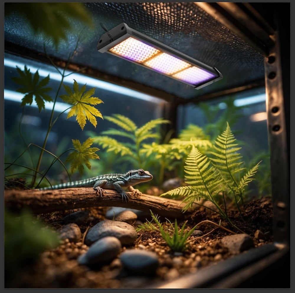 Eckpo terrarium basking-area setup tips for safe UVB exposure