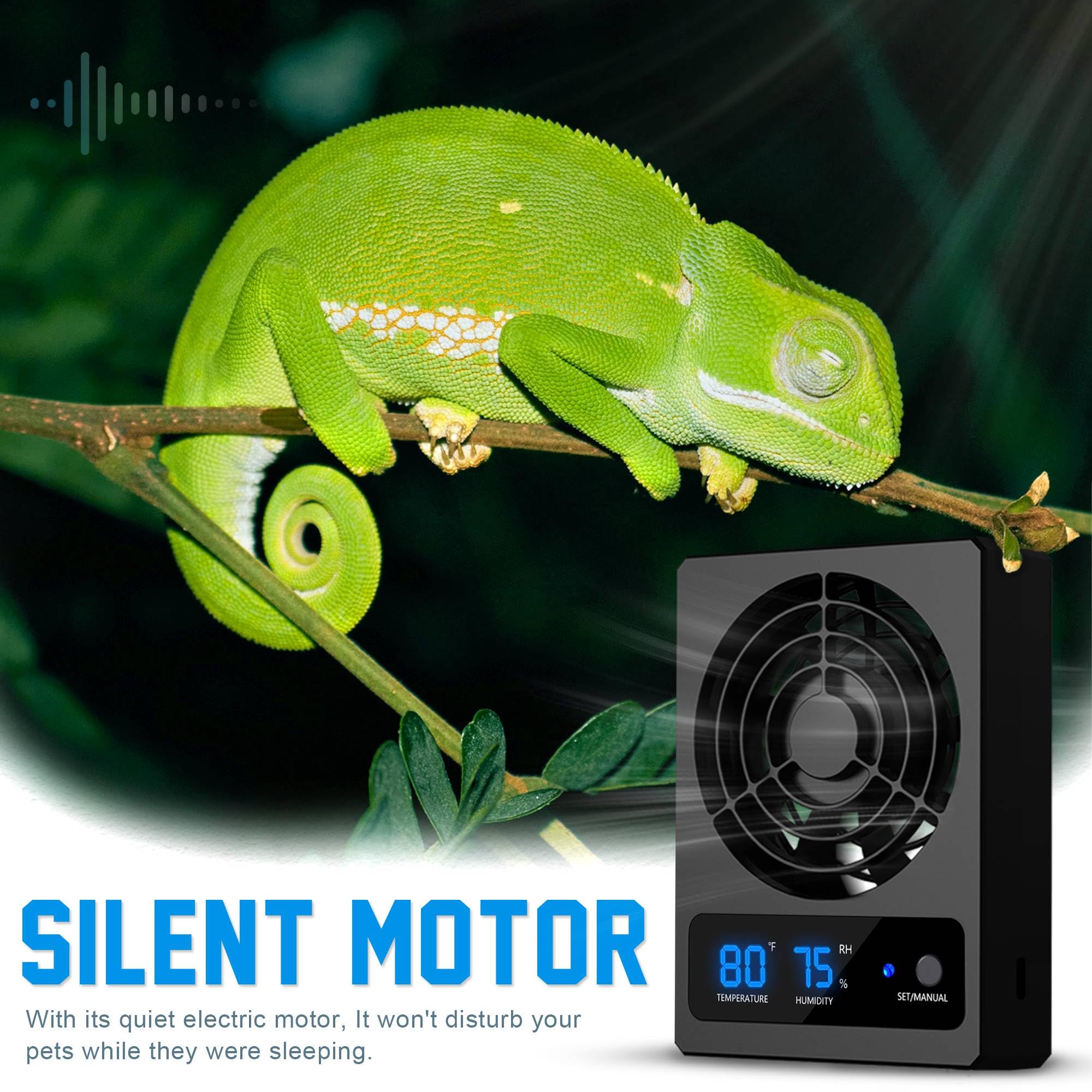 Eckpo terrarium ecological tank ventilation keeps air fresh.