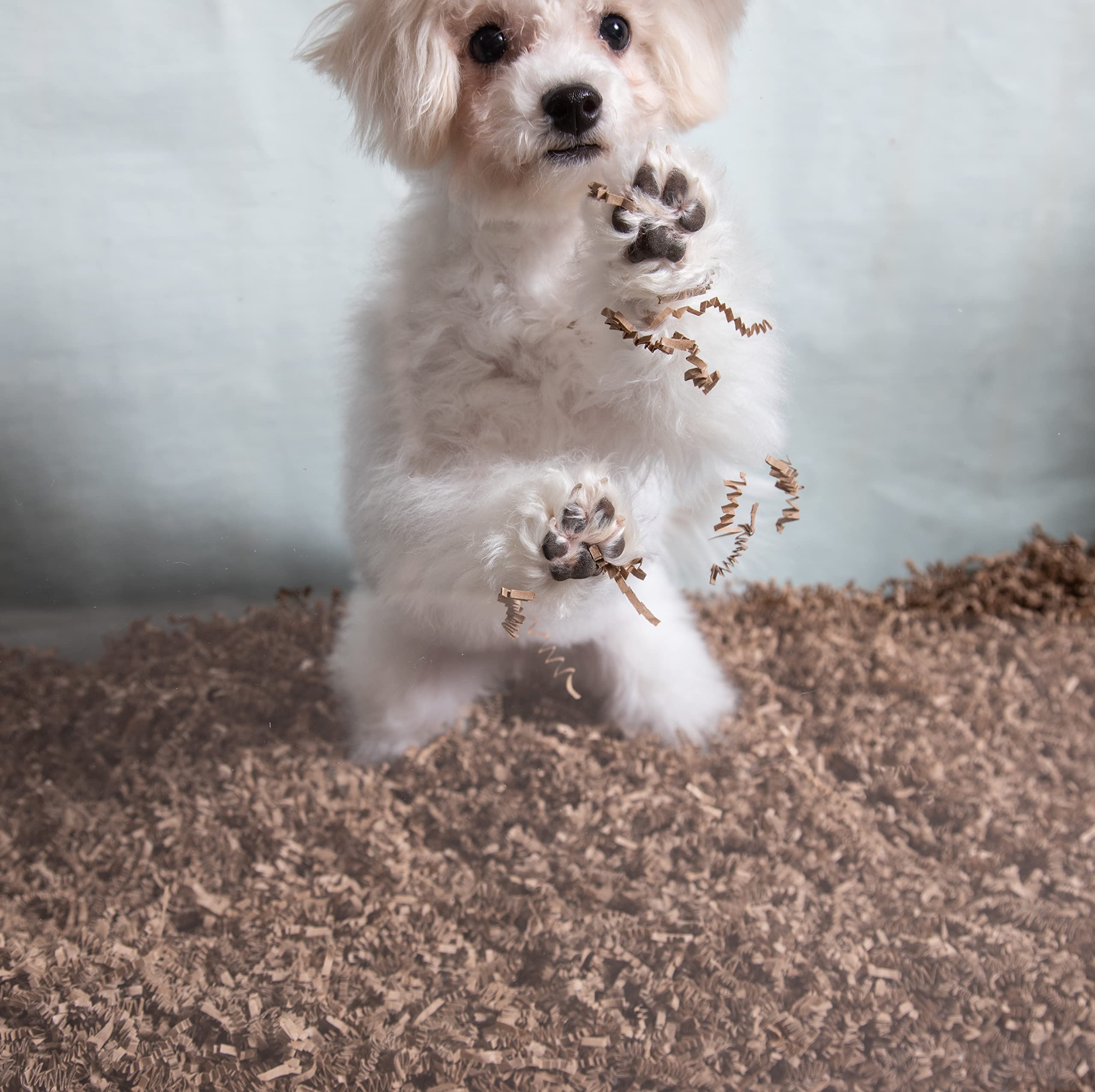 Dust-free design helps maintain a tidy habitat for pets and caregivers.