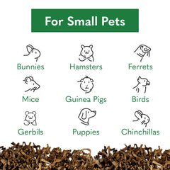 Eco-conscious materials showcased in ECO BEDDING for sustainable pet care.