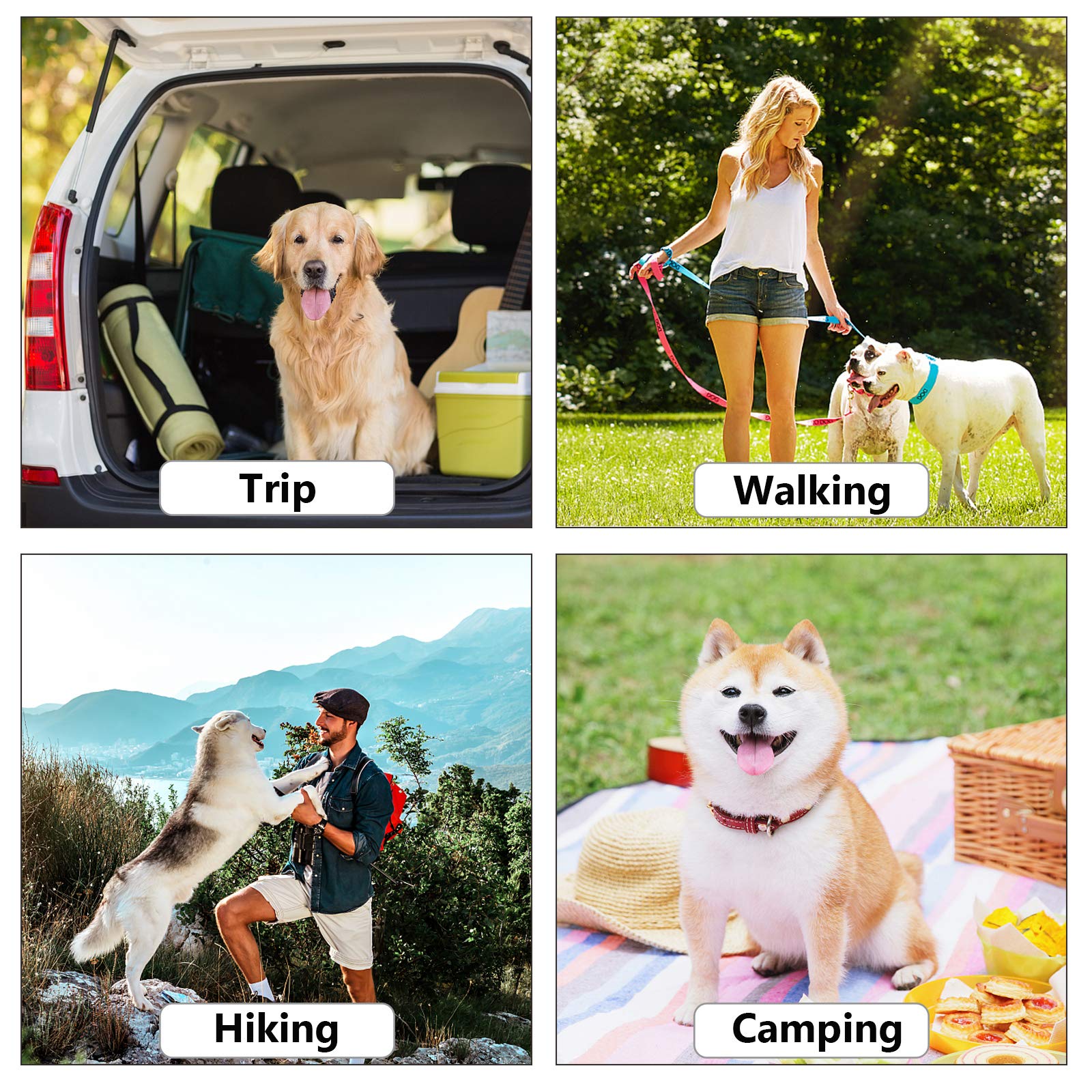 ECO-CLEAN leash clip dispenser keeps bags handy during strolls