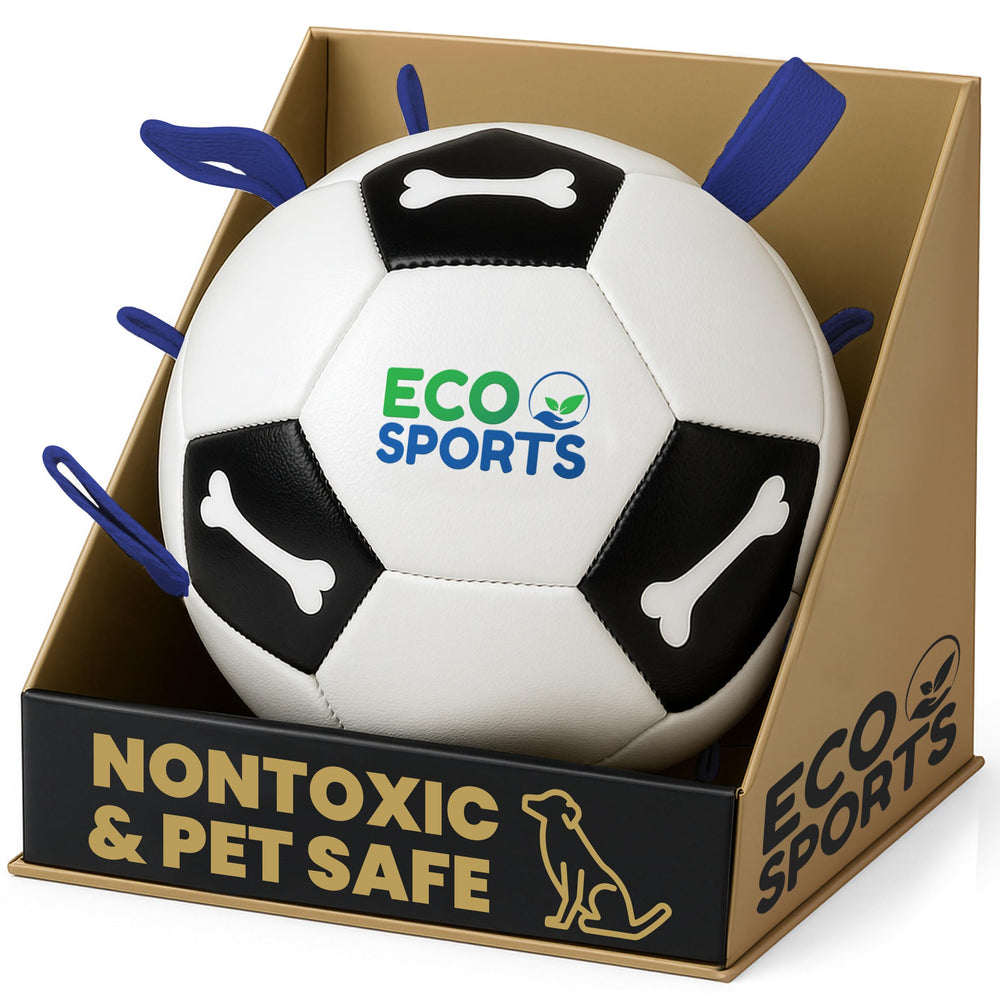 Eco Sports Big Dog Soccer Ball in blue, full view for outdoor fetch.