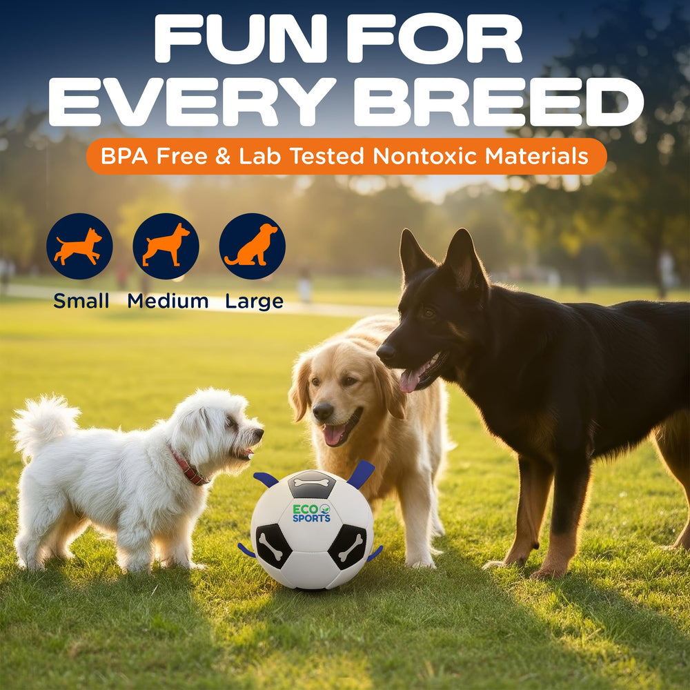Eco Sports ball in action during fetch for large dogs on grass.