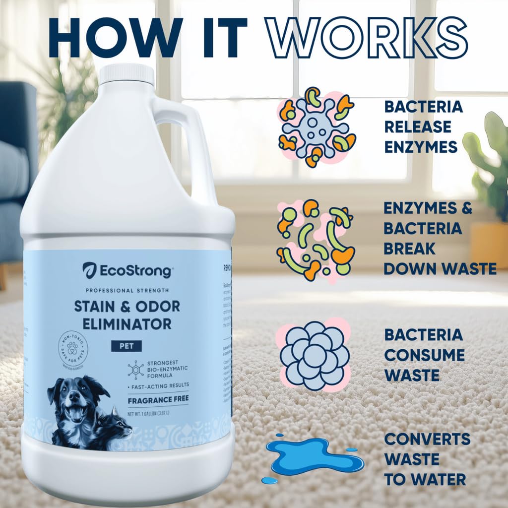 Bedtime accident cleanup on bedding using Eco Strong prewash boost