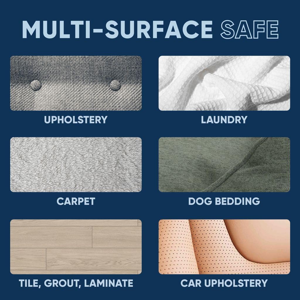 Eco Strong carpet spot cleaning demonstrates stain and odor removal action