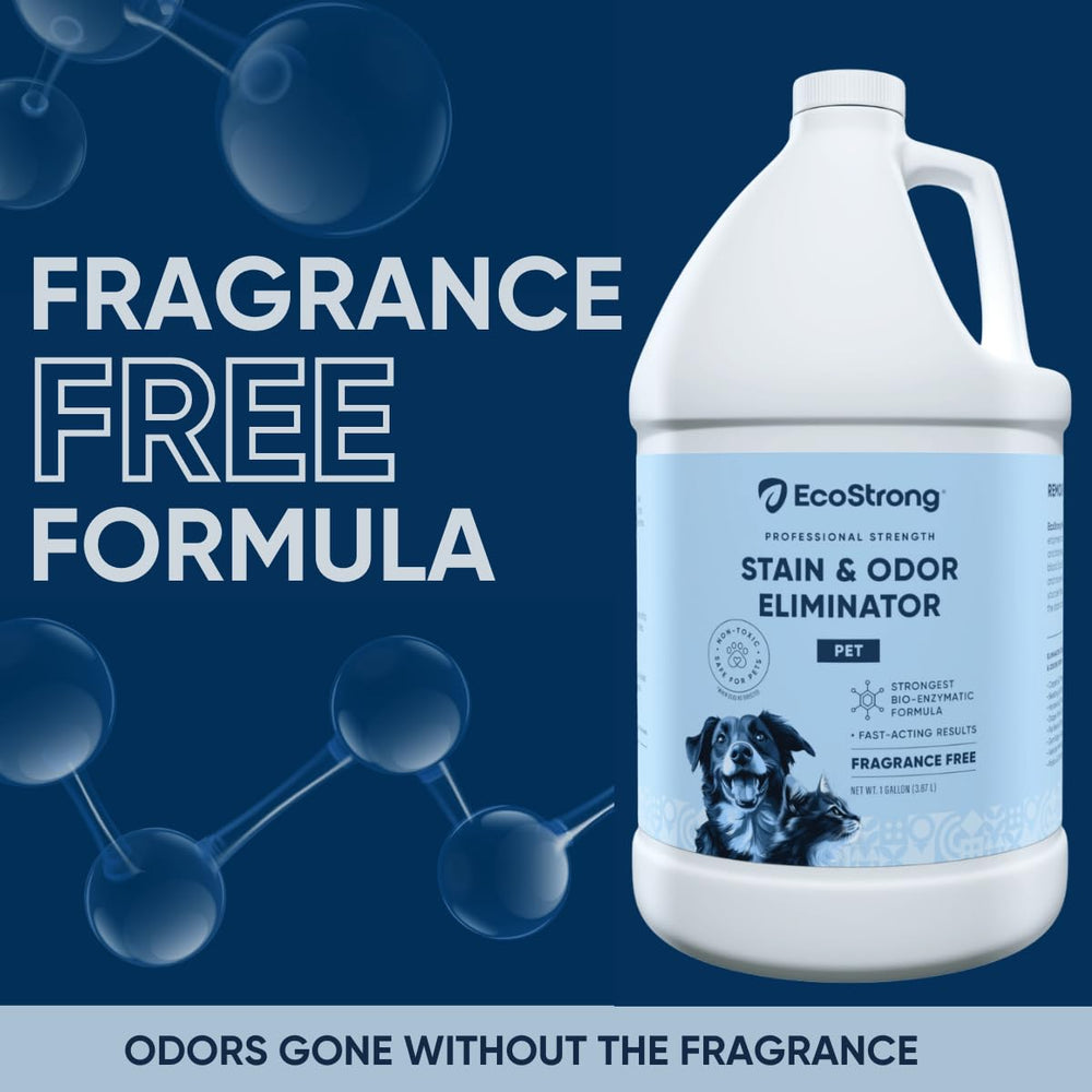 Carpet spot treatment with Eco Strong clears pet stains and freshens fibers