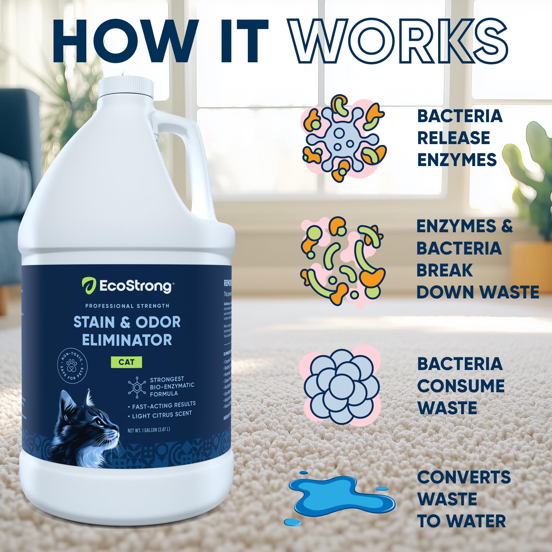Eco Strong on a carpet stain begins enzymatic odor and stain breakdown.