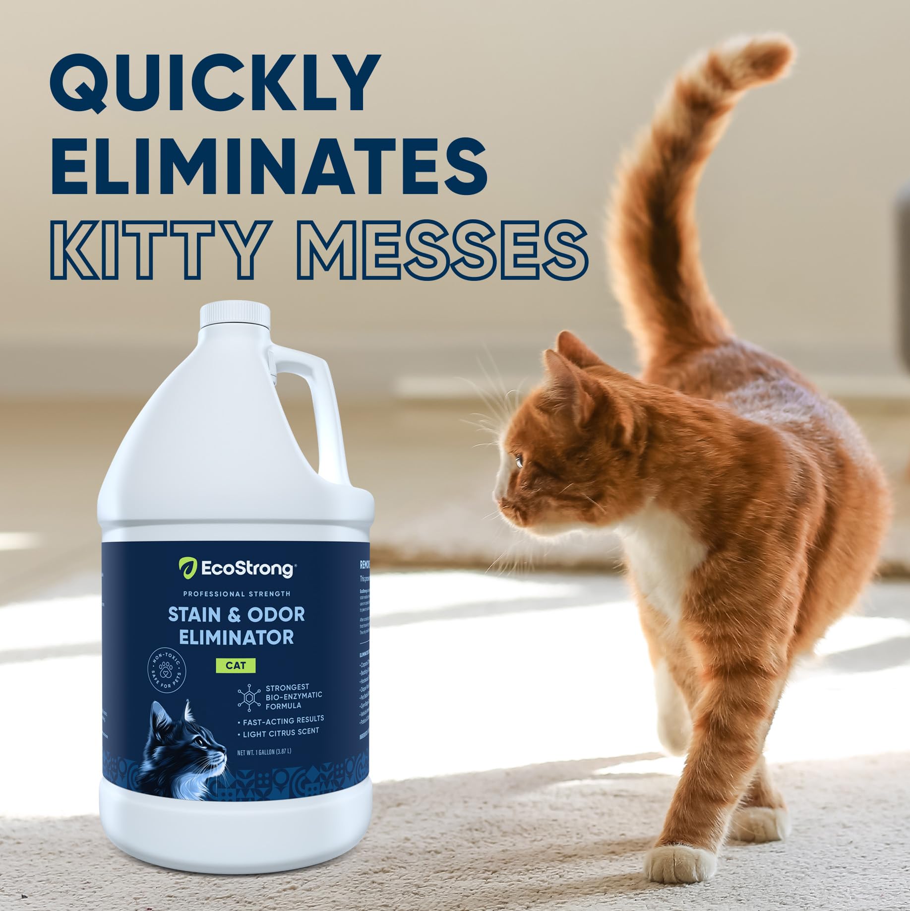 Eco Strong near litter box area reducing lingering smells.