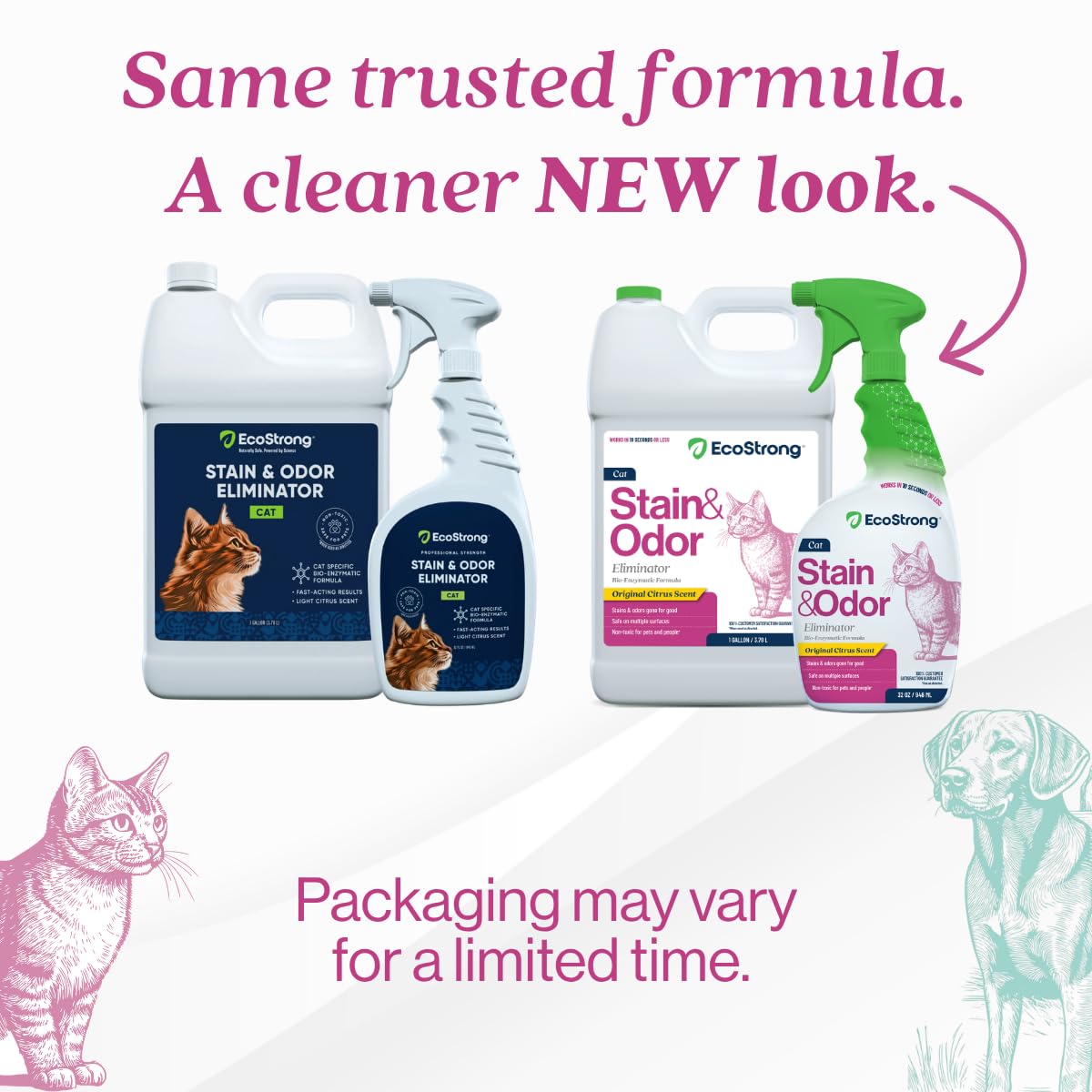 Eco Strong spray-action illustrates quick spot cleaning and odor control.