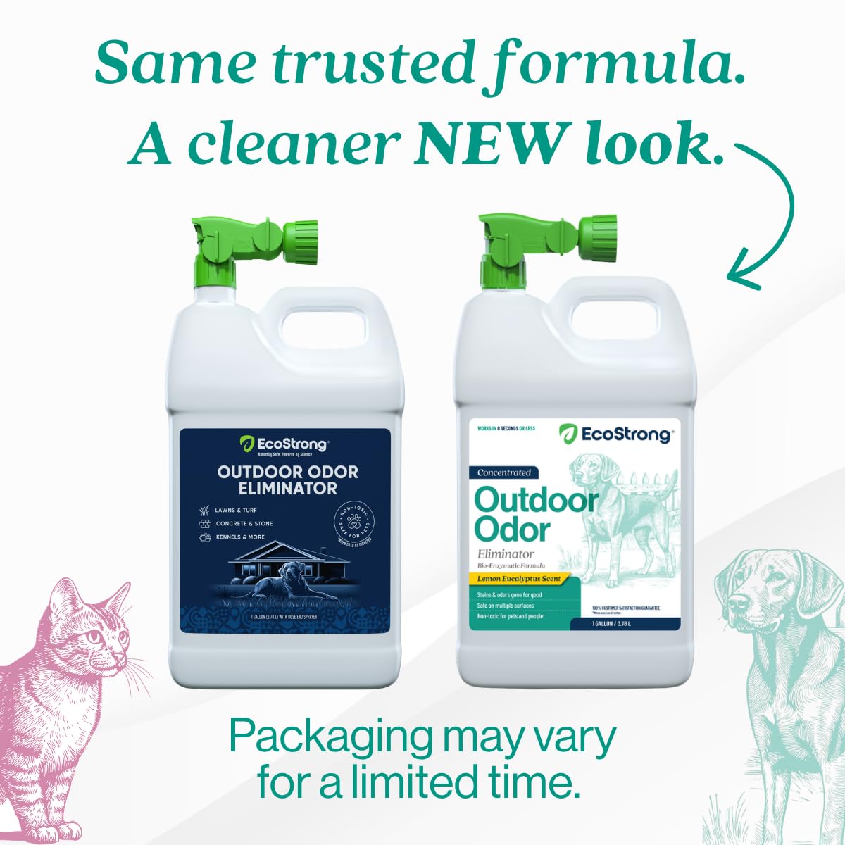 Applying Eco Strong in yard to remove outdoor odors from grass and turf