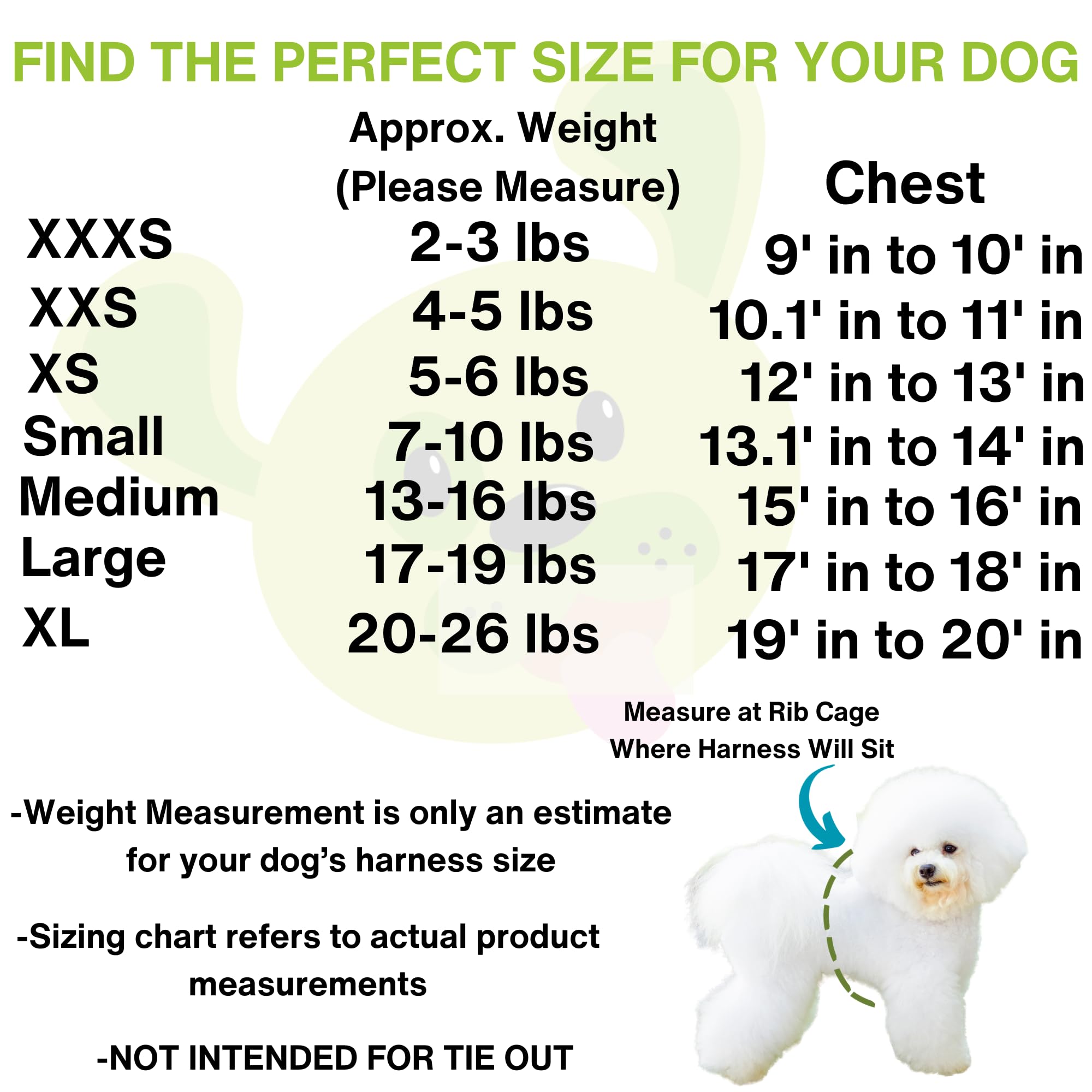 EcoBark Harness worn during a walk demonstrates comfortable daily wear