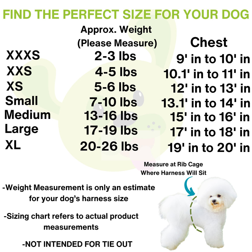 EcoBark Harness worn during a walk demonstrates comfortable daily wear