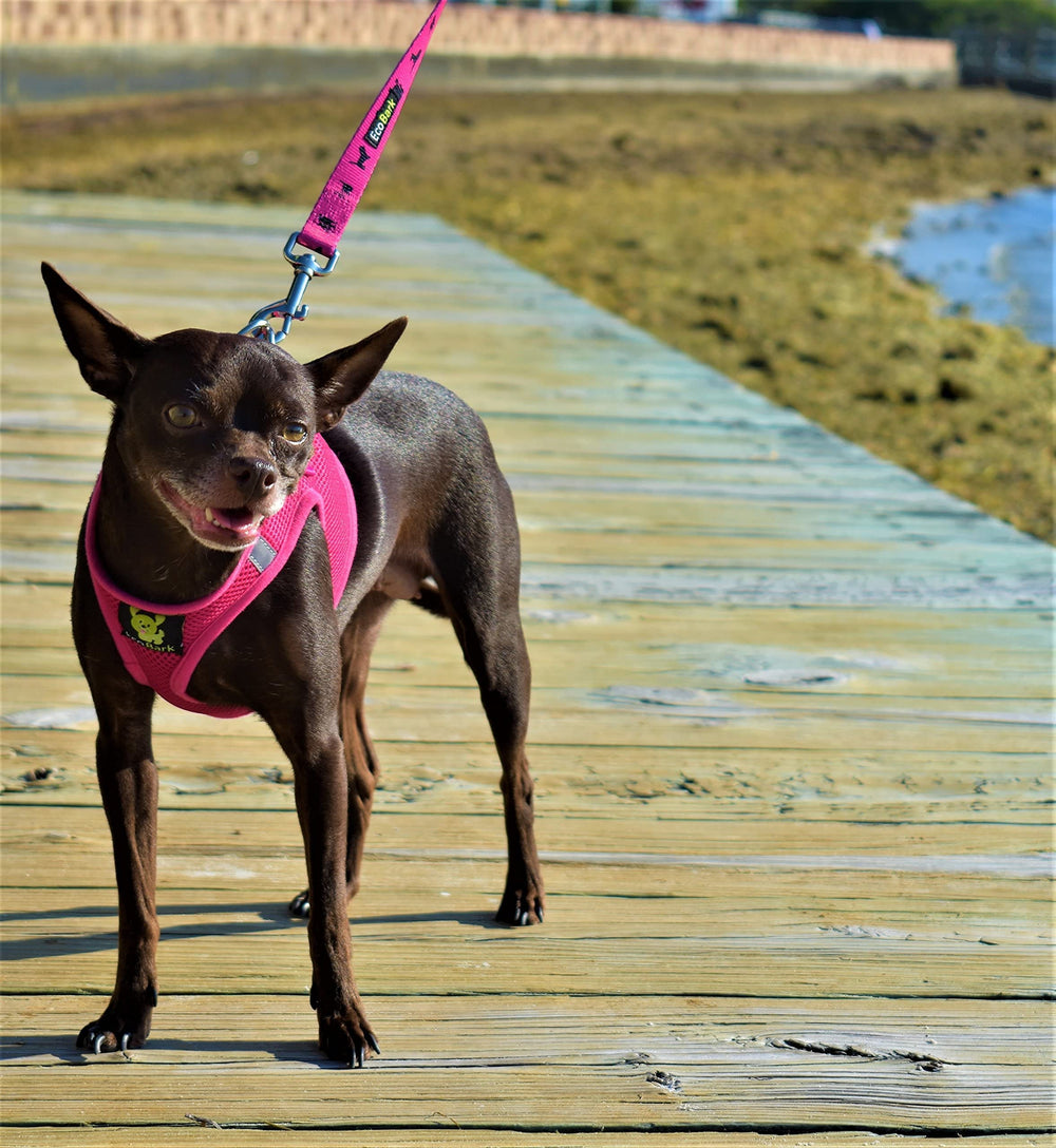 EcoBark medium pink harness worn by a dog during a walk