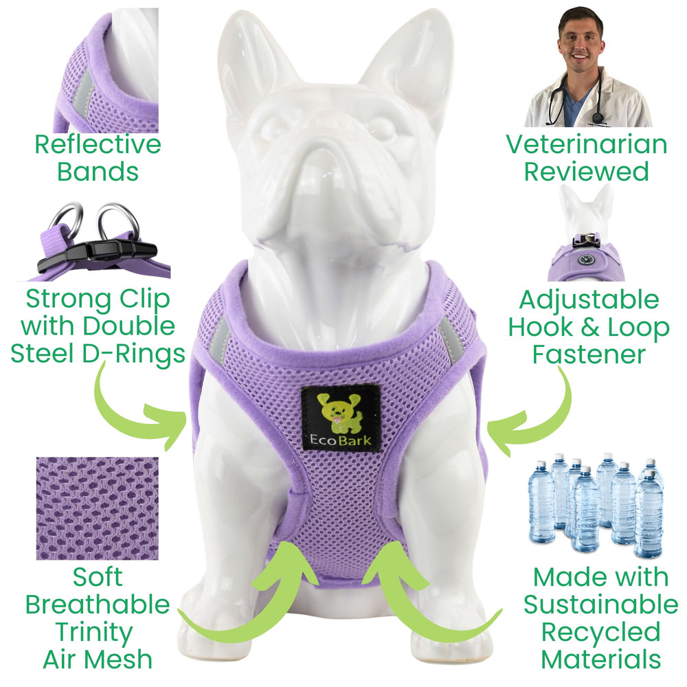 EcoBark Step in lavender harness reflective trim boosts visibility during dusk strolls.