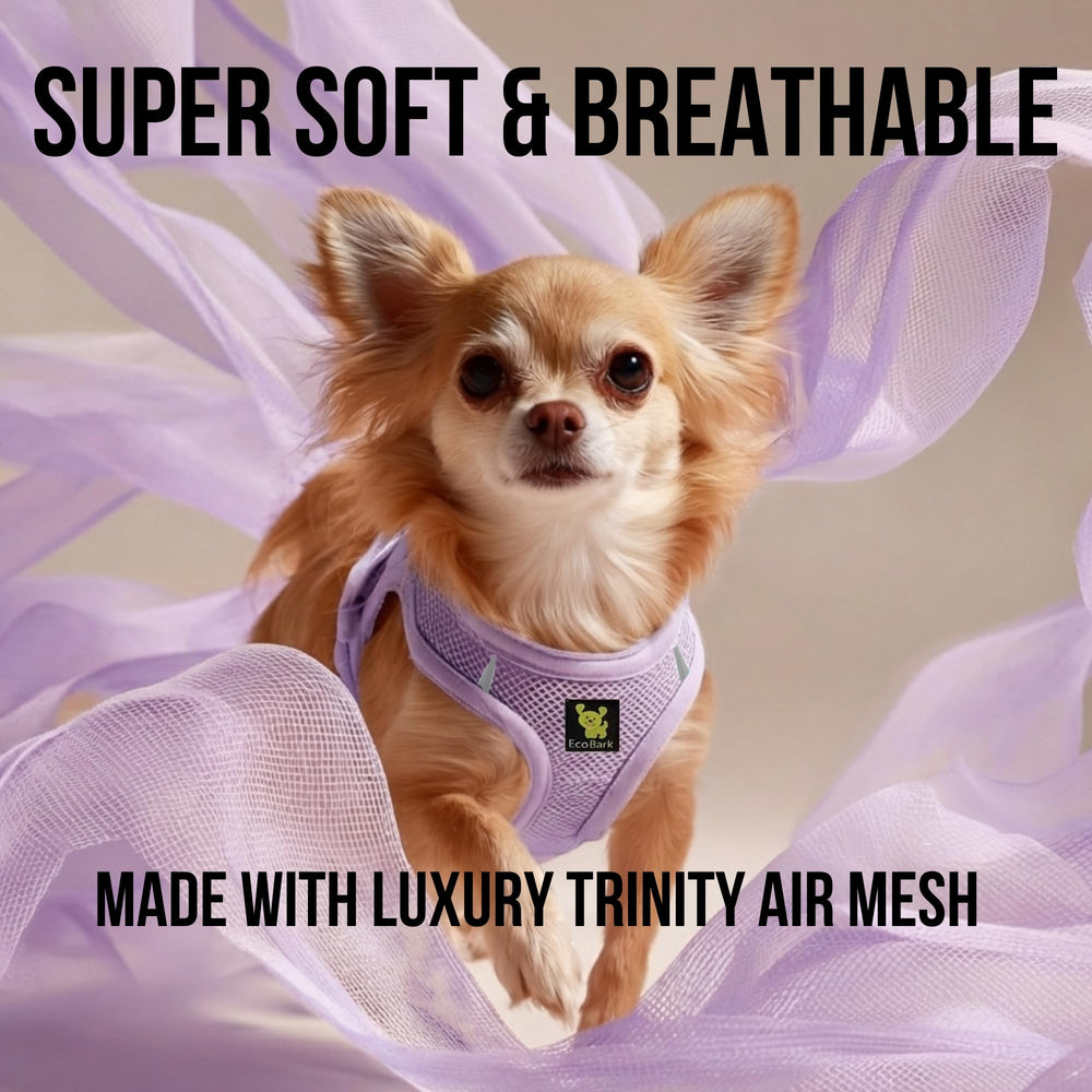 EcoBark Step in lavender harness side detail highlights breathable mesh for hot days.