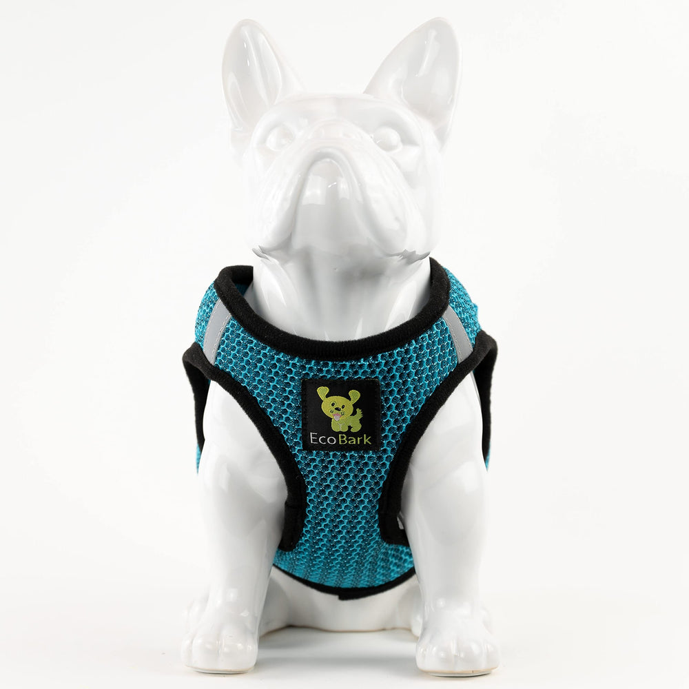 EcoBark soft mesh ventilation keeps tiny dogs comfortable in warm weather.