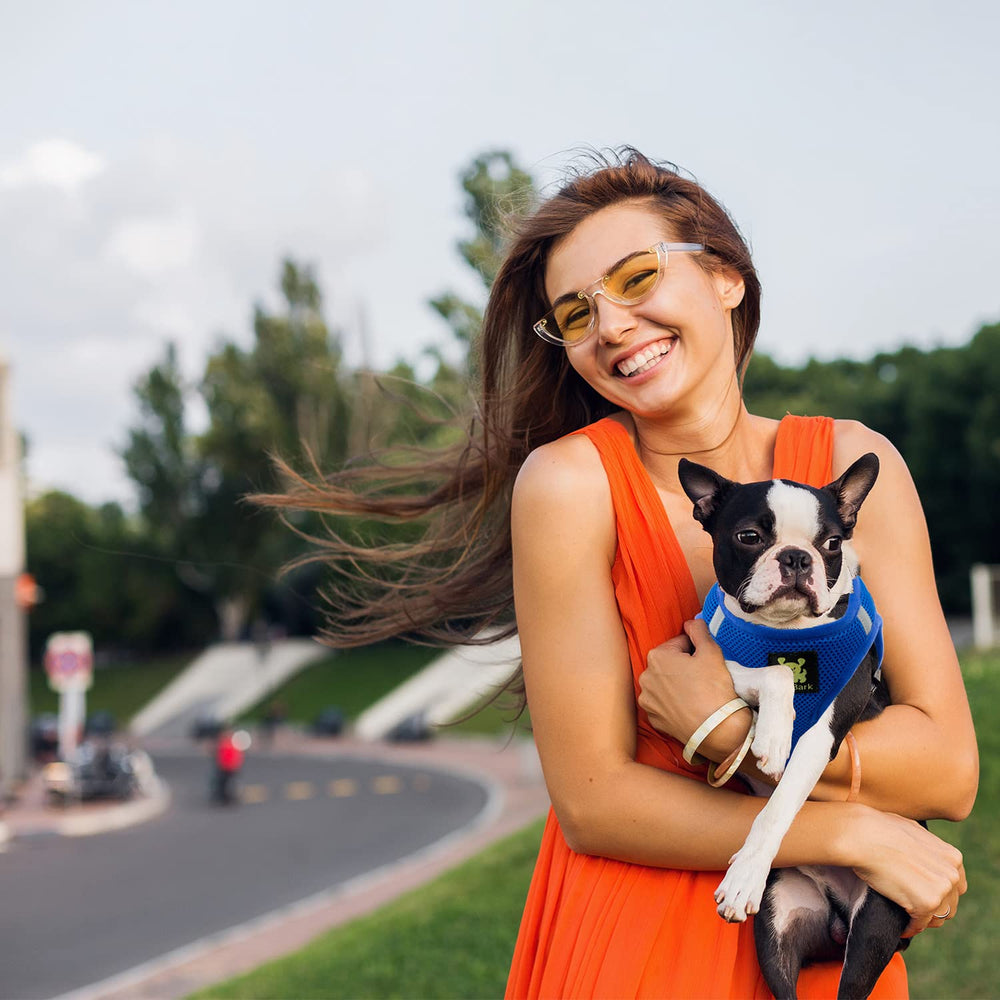 EcoBark Step in Harness breathable mesh keeps pets cool outdoors.