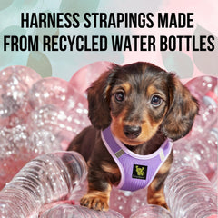 EcoBark Step In Harness recycled straps emphasize eco-friendly durability.