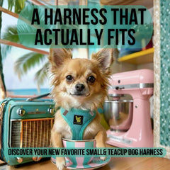 EcoBark Teacup Harness luxury mesh strap and clip for quick, secure fitting.