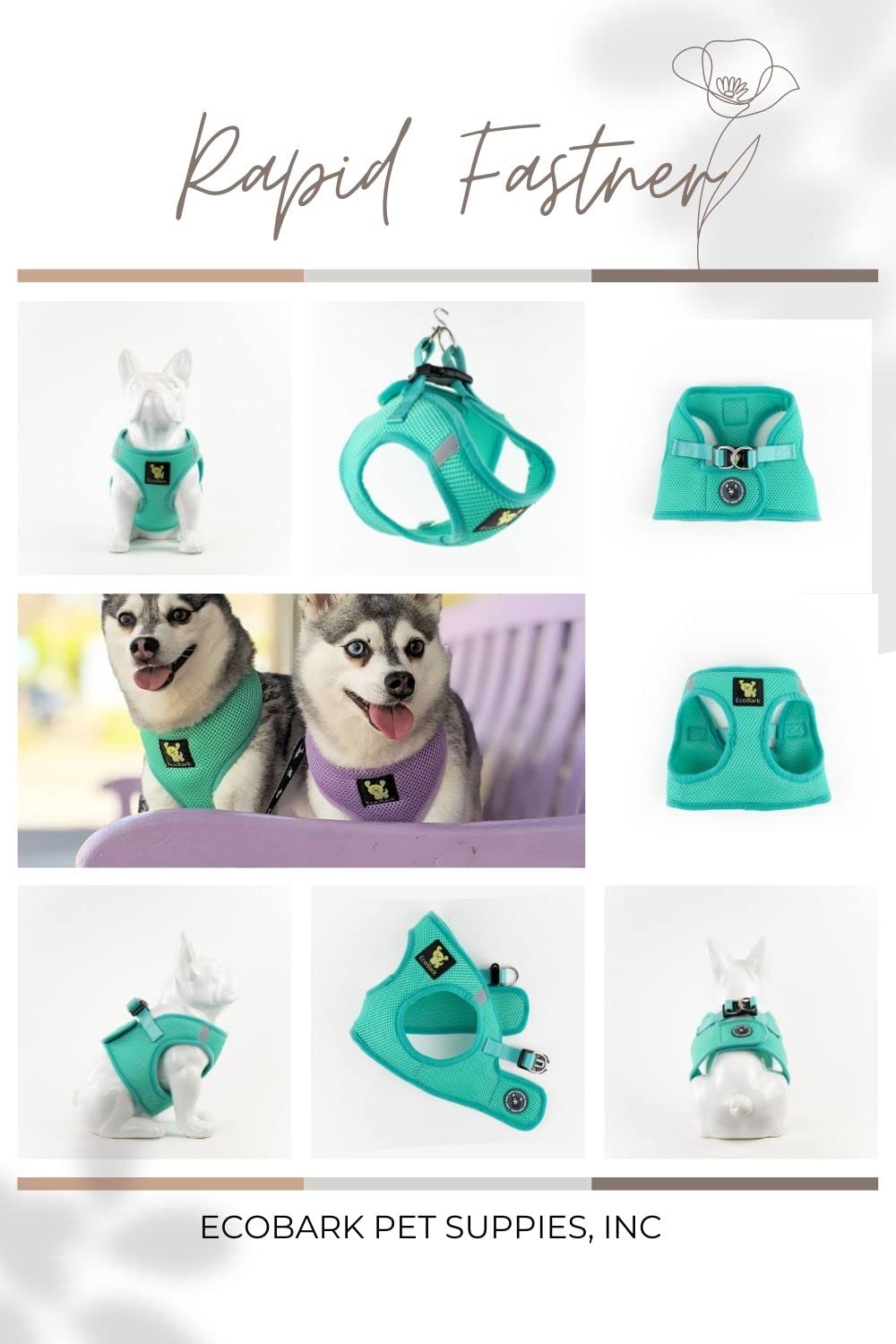 EcoBark Teacup Harness mint turquoise outdoors for a comfortable walk.