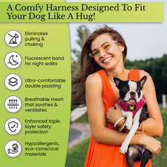 EcoBark Teacup Harness owner hands showing step-in design for easy wearing.