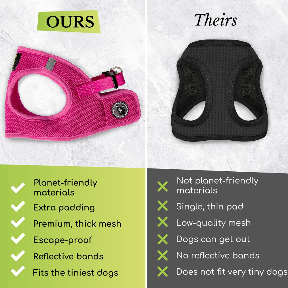 EcoBark Teacup Harness small-dog wearing fit during a calm stroll.