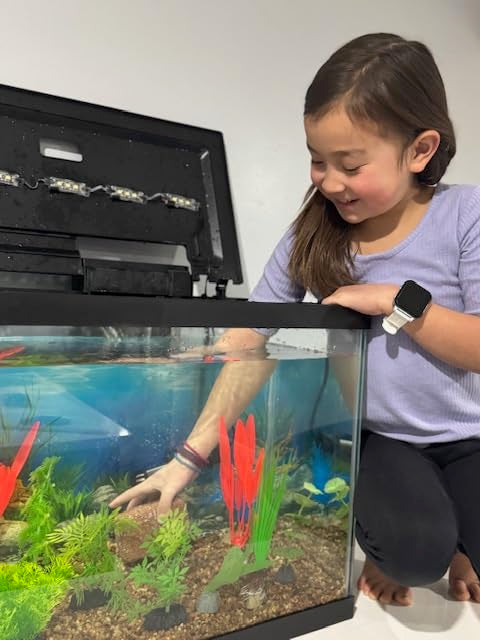 EcoBio-Block supports freshwater life: fish, turtles, shrimp, and frogs.