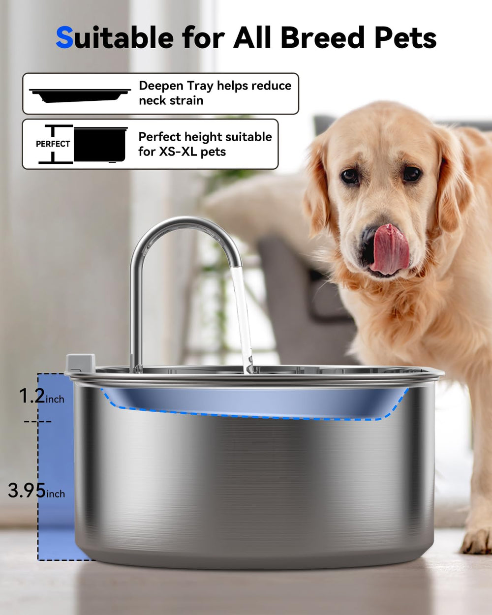 ECOCONUT blue pump light helps locate the fountain in the dark.
