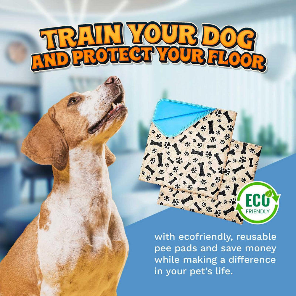 ECOHYPE large pee pad bone-pattern design complements dog gear.