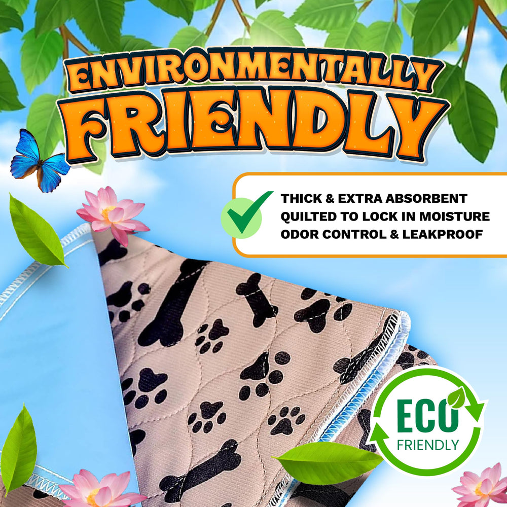 ECOHYPE large pee pad two-pack packaging highlights value.