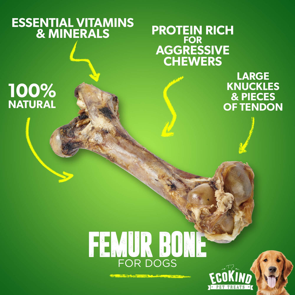 EcoKind Dog Bone with large knuckles and tendon pieces for extended chewing.
