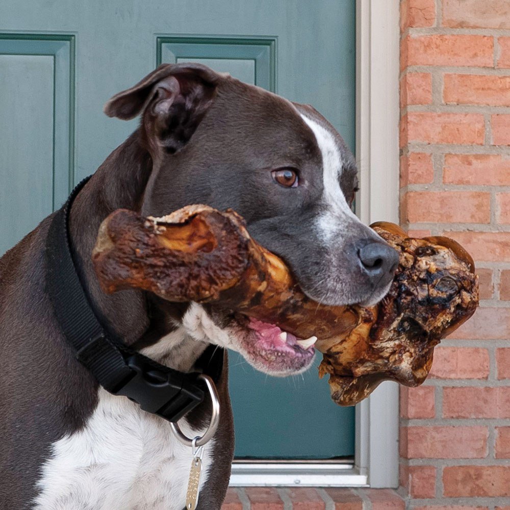 EcoKind Dog Bone with meat tendon chunks for satisfying bites.