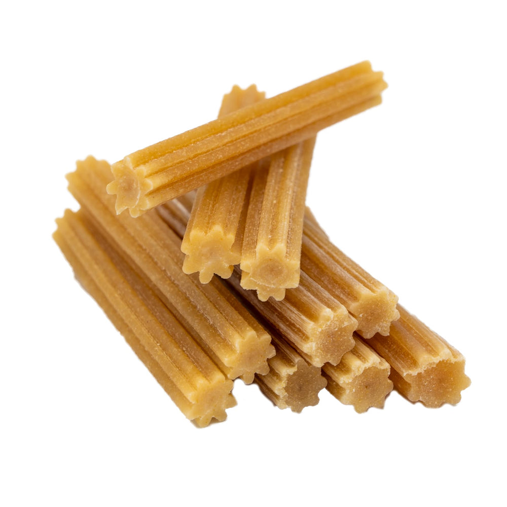 Close-up of EcoKind Himalayan yak cheese chew showing soft texture for gentle chewers