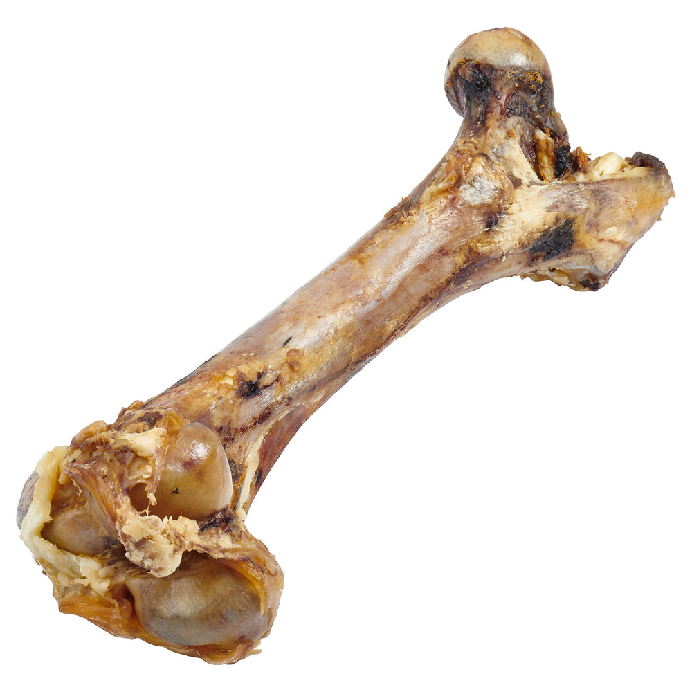 EcoKind Mammoth Beef Chew with rich flavor for dogs.