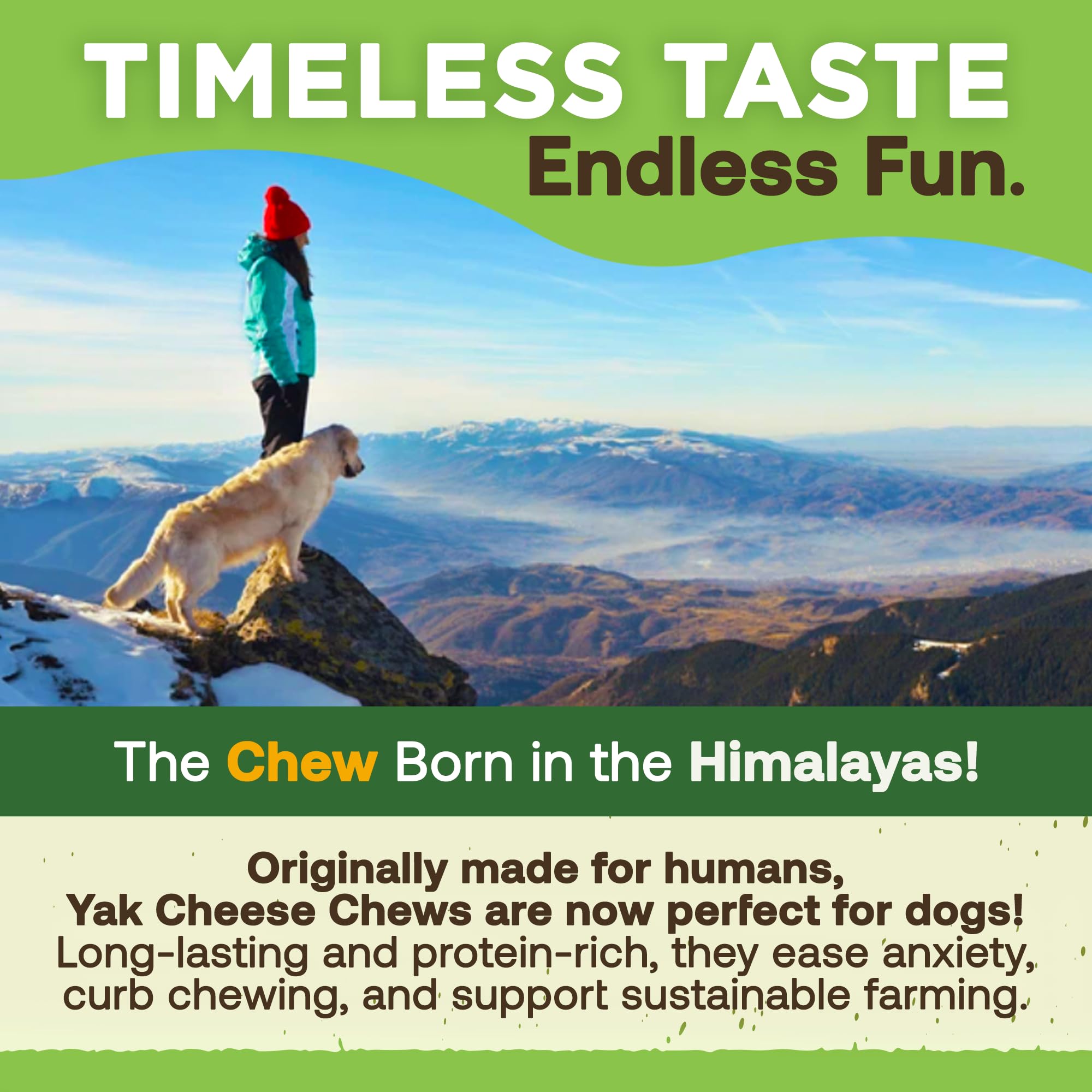 EcoKind chews on table with dog-friendly serving suggestion