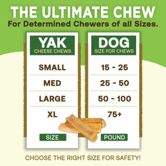 EcoKind Premium Gold Yak Chew, pasteurized milk formula, lactose removed.
