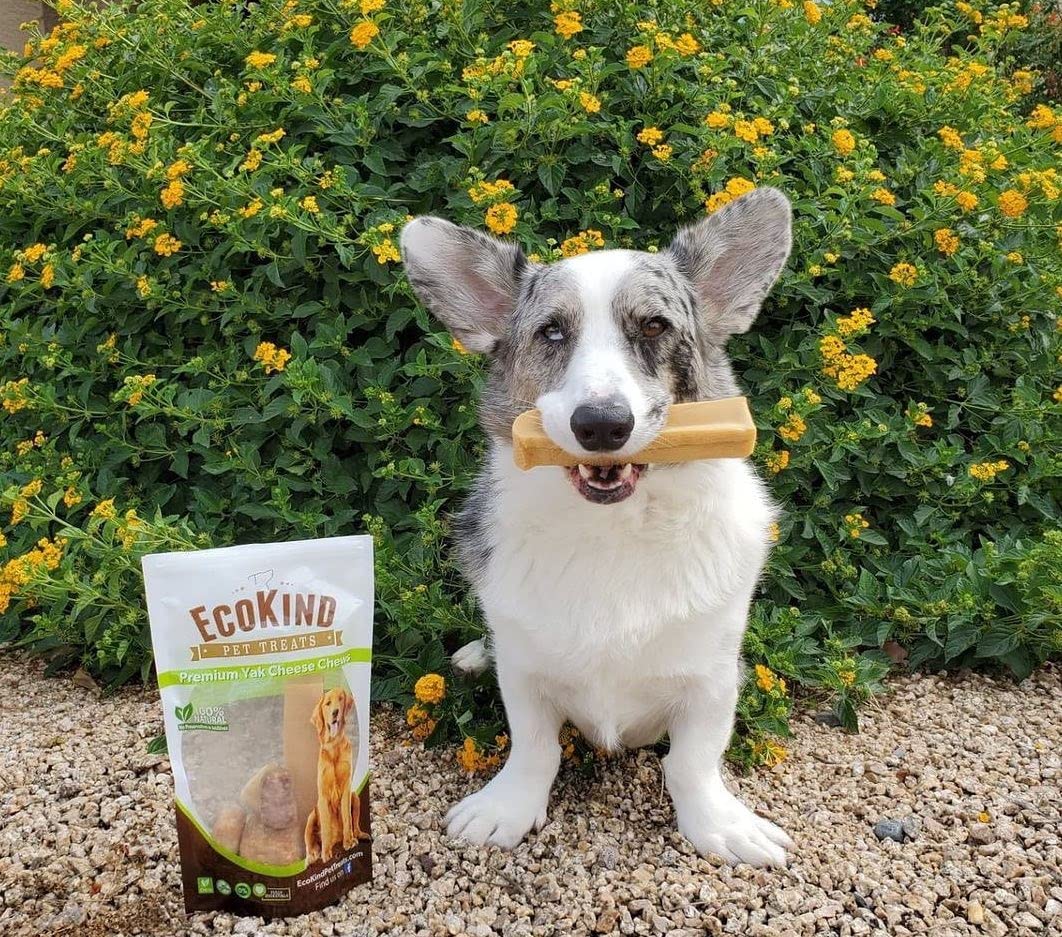 EcoKind Yak Cheese Himalayan chews lactose-free option gentle on stomach